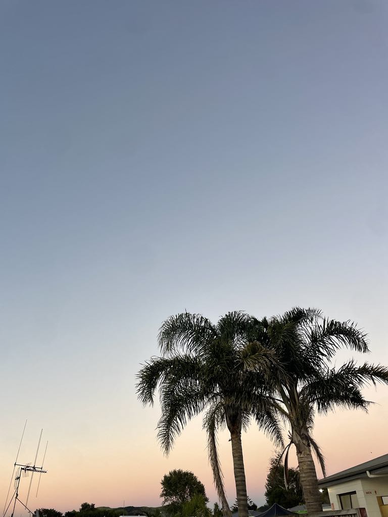 16.02.2024 New Zealand: The ‘Mount’