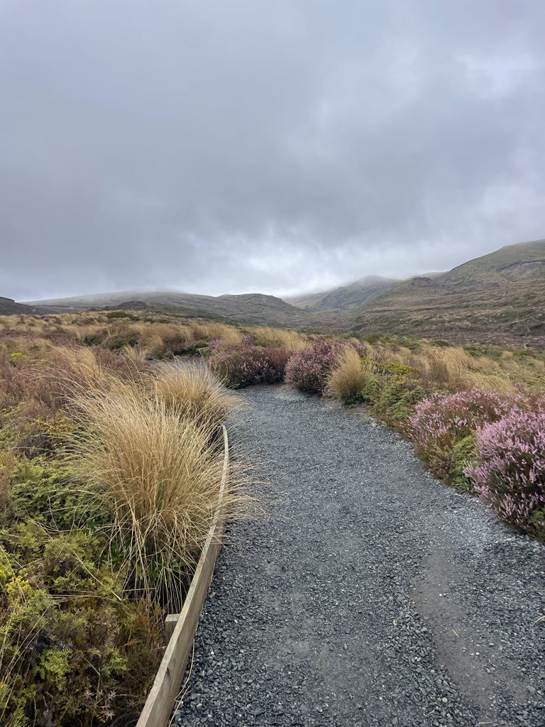 19.02.2024 New Zealand: Turangi & Tongariro National&nbsp;Park