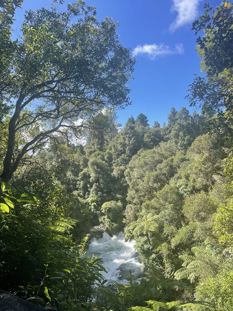 17.02.2024 New Zealand: Okere Falls &&nbsp;Rotorua